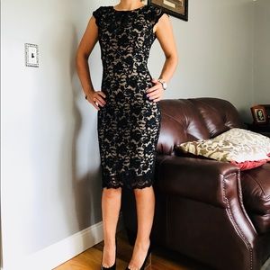 ABS Allen Schwartz Small .